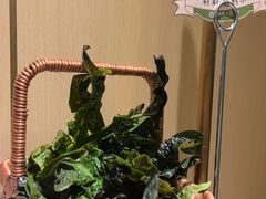 -海底捞火锅(金桥太茂商业广场店)