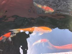-启明龙王庙