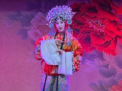 -盖碗儿梨园·变脸吐火·川剧(天府广场店)