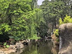 -昆明动物园