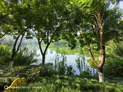 -重庆彩云湖湿地公园