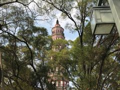 -顺峰山公园