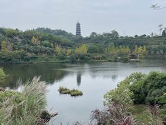 -重庆园博园