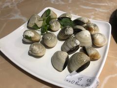 -海大大蒸汽海鲜餐厅·粤菜·特色小炒(欢乐颂店)