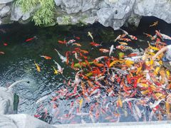 -西林禅寺