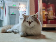 -逃脱反斗城沉浸剧情密室(北京路店)