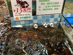 -宝燕海货工场(长江国际店)