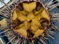 -海胆小馆(东北水饺·春柳店)