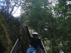 -七仙岭温泉国家森林公园