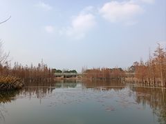 -白鹭湾湿地公园