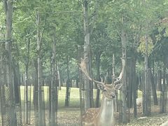 -秦皇岛野生动物园