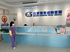 -北京观赏动物医院·24小时大型综合·猫专科·异宠专科
