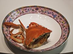 -新光酒家·河豚·海鲜·蟹料理(浦东店)