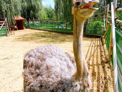 -羊亭河湿地公园