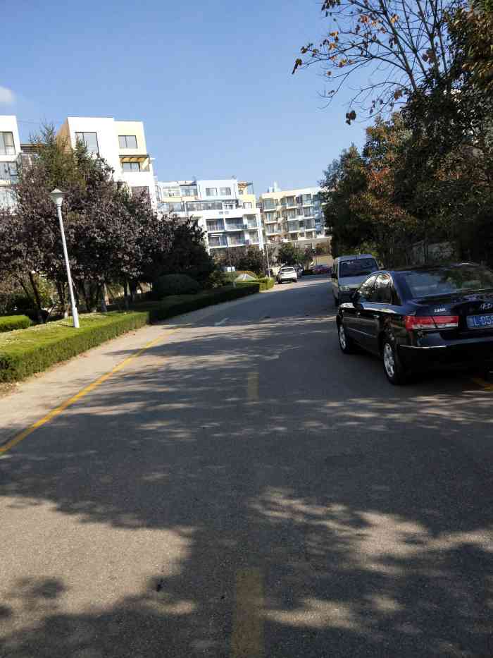 山东省日照一佳合作学校-"虽然有些老师是真的很让人讨厌 比如我第一.