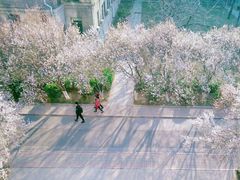 -山东师范大学(千佛山校区)