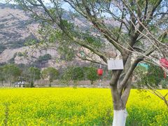 -大罗山风景区