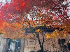 -惠山古镇·寄畅园