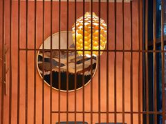 -古京·臻致料理(月湖店)
