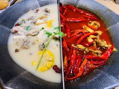 鸳鸯锅-麻田会 ·鲜活现烹·牛蛙火锅(珠江新城维家思广场店)