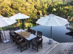 -厦门园林植物园-植物园滴水山房