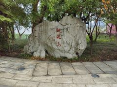 -金鸡湖游船(月光码头)