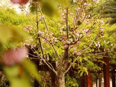 -成都市文化公园