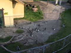 -无锡动物园·太湖欢乐园