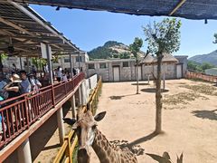 -西霞口神雕山野生动物世界