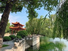 -百脉泉景区