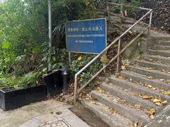 -大澳