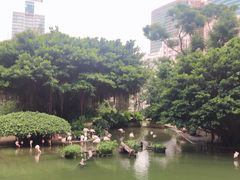 -九龙公园