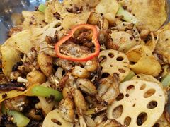 干锅牛蛙-蛙蛙叫干锅年代(常熟二店)