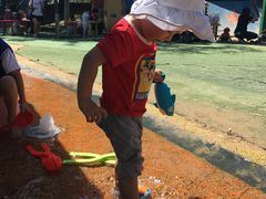 -永定河休闲森林公园