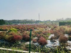 -嘉北郊野公园