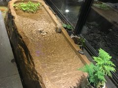 -小隐足道·按摩·主题SPA馆(西红门店)