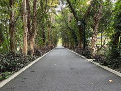 -南宁南湖公园