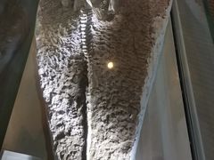 -辽宁古生物博物馆