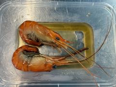 -品鲜村农家菜·阳澄湖大闸蟹(总店)