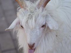 -水上乐园·欢乐世界