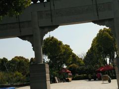 -南汇桃花村