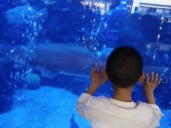 -成都浩海立方海洋公园