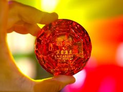 -广州花园酒店