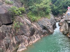 -广州白江湖森林公园