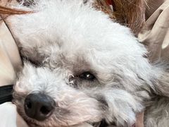 -和它·交个朋友·狗咖猫咖(爱琴海店)