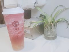-古茗(风临路店)