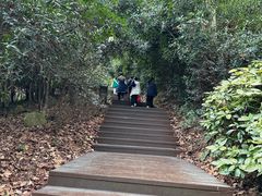 -潜山国家森林公园