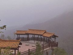 -铁山坪森林公园