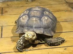 -石家庄市动物园