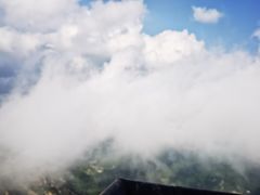 -白草畔自然风景区